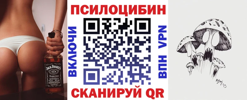 Галлюциногенные грибы прущие грибы  ссылка на мегу вход  Новая Ладога  купить  цена 